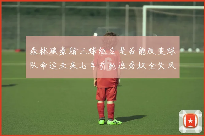 森林狼豪赌三球组合是否能改变球队命运未来七年首轮选秀权全失风险巨大