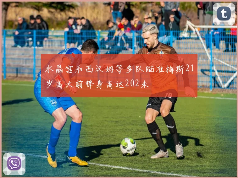 水晶宫和西汉姆等多队瞄准梅斯21岁高大前锋身高达202米