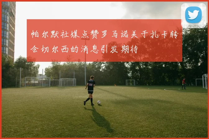 帕尔默社媒点赞罗马诺关于扎卡转会切尔西的消息引发期待