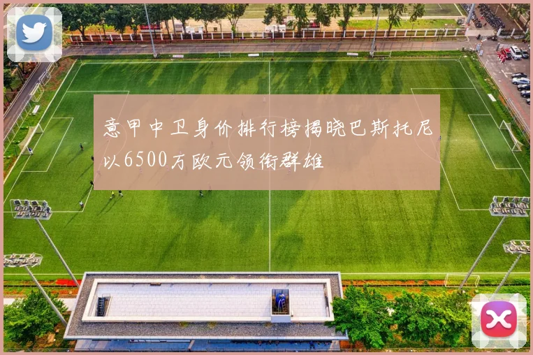 意甲中卫身价排行榜揭晓巴斯托尼以6500万欧元领衔群雄