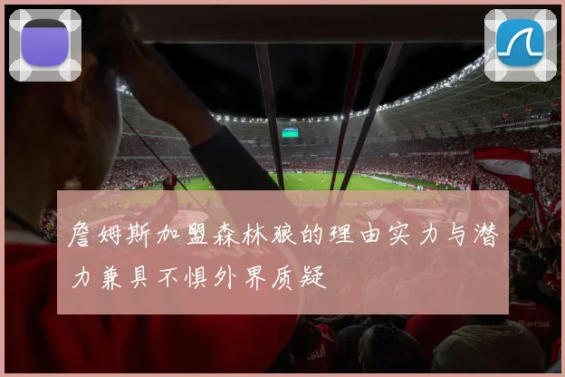 詹姆斯加盟森林狼的理由实力与潜力兼具不惧外界质疑